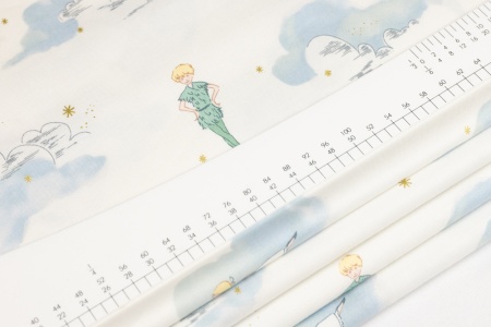 Ткань 100% хлопок [MD7944-CLOU-D]