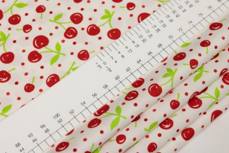 Ткань 100% хлопок [22342 16]