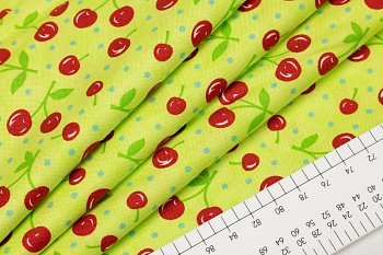 Ткань 100% хлопок [22342 13]