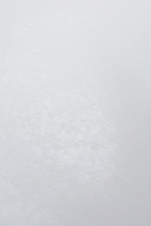 Флизелин клеевой на бумажной основе для эластичных тканей Stretchfix, 30см*5м, прозрачный Флизелин клеевой на бумажной основе для эластичных тканей Stretchfix, 30см*5м, прозрачный