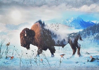 Панель 100% хлопок [П385]