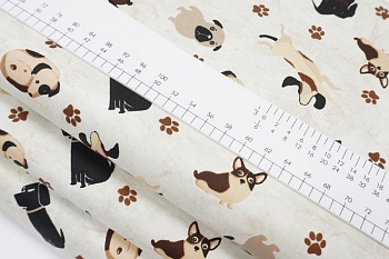 Ткань 100% хлопок [AL-11286]