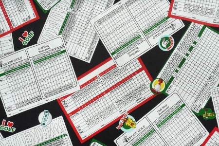 Ткань 100% хлопок [AL-395]