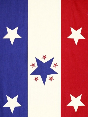 Лоскут для шитья и творчества (арт. AL-TX344-L)