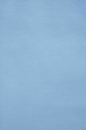 Ткань 100% хлопок [AL-S2636]